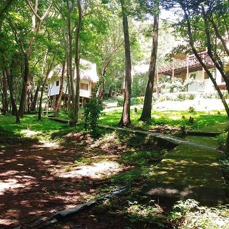 טולה Tuani Ecolodge מראה חיצוני תמונה