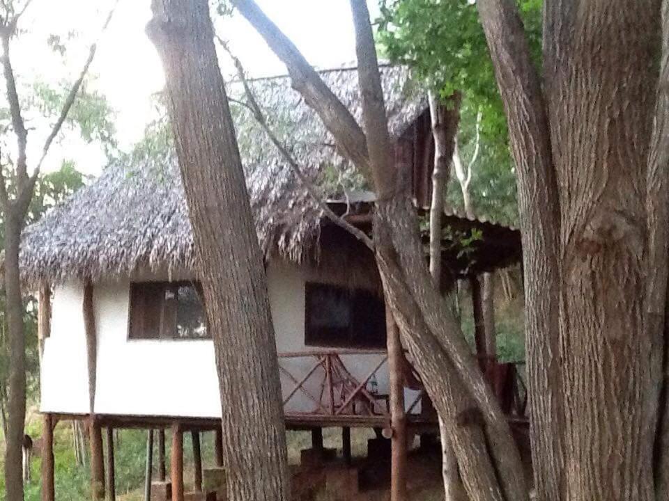 טולה Tuani Ecolodge מראה חיצוני תמונה