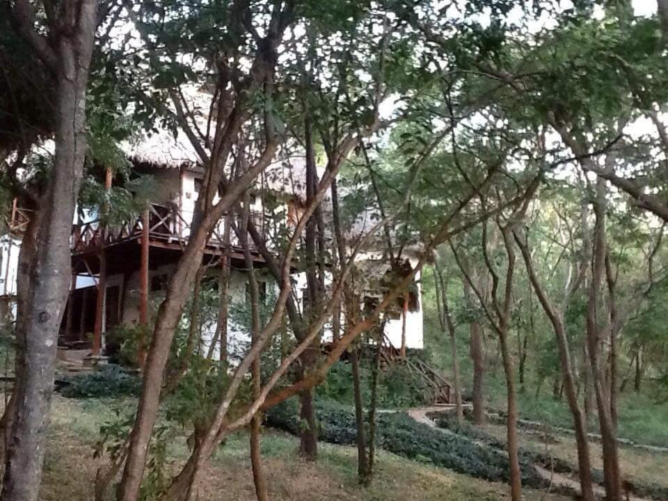 טולה Tuani Ecolodge מראה חיצוני תמונה